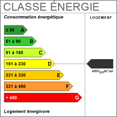 Consommation énergétique D